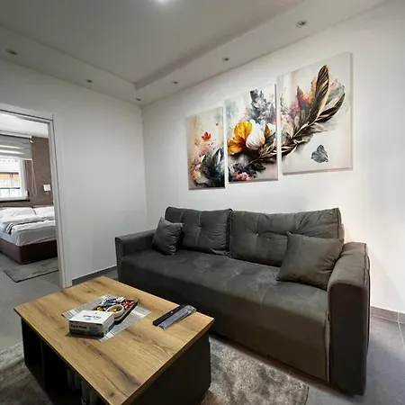 Ortak Apartment