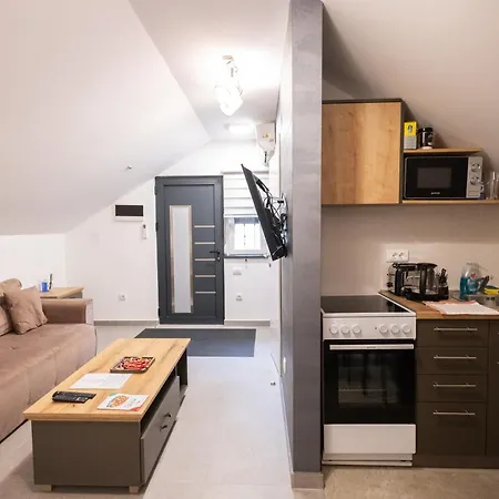 Apartment Ortak
